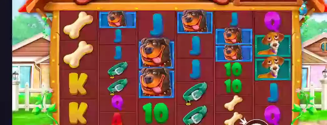 the dog house megaways