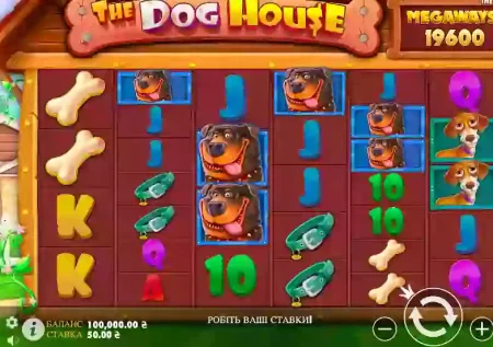 The Dog House