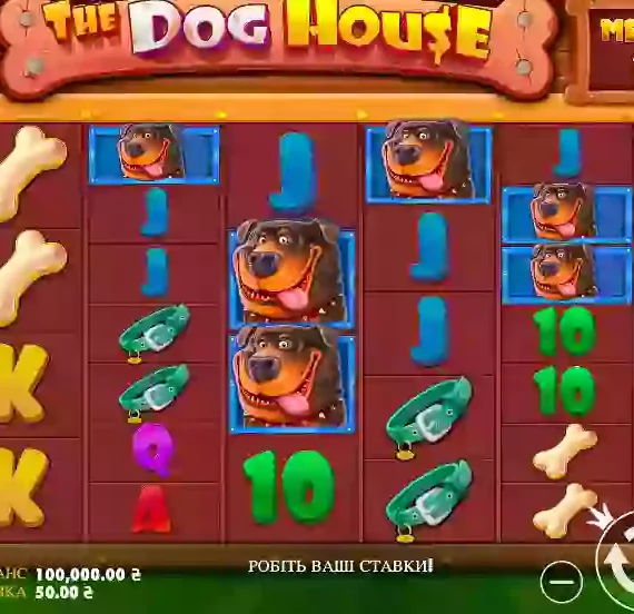 The Dog House