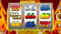 Fortune 27